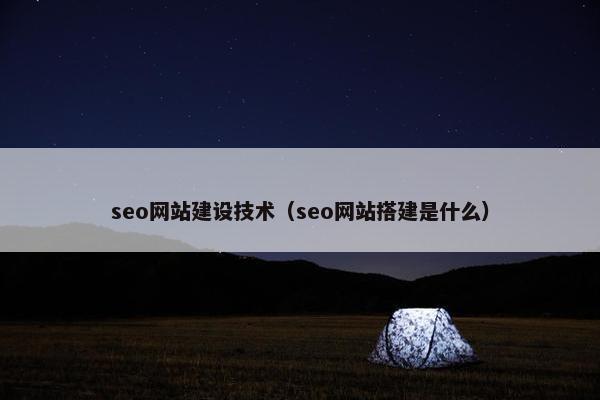 seo网站建设技术（seo网站搭建是什么）