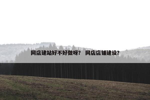 网店建站好不好做呀？ 网店店铺建设？