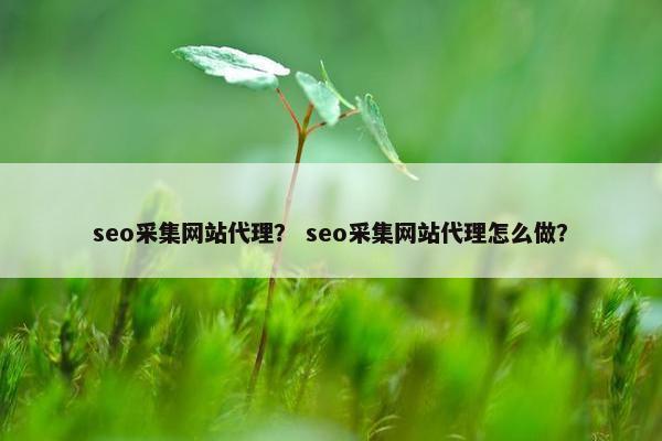 seo采集网站代理？ seo采集网站代理怎么做？