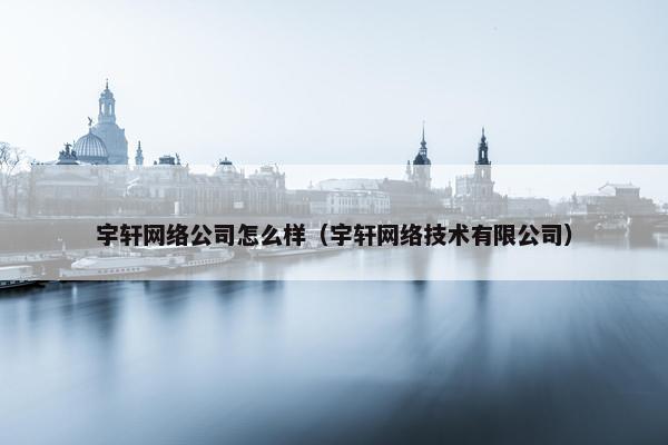 宇轩网络公司怎么样（宇轩网络技术有限公司）