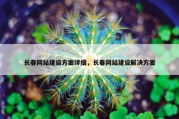 长春网站建设方案详细，长春网站建设解决方案