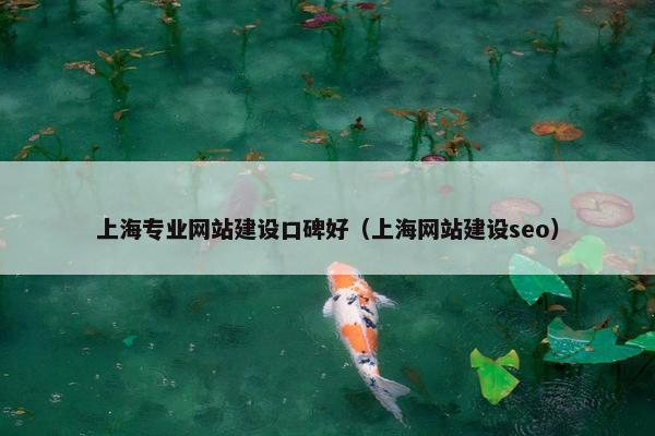上海专业网站建设口碑好（上海网站建设seo）