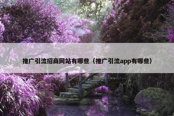 推广引流招商网站有哪些（推广引流app有哪些）