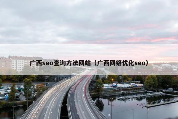 广西seo查询方法网站（广西网络优化seo）