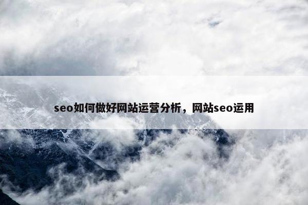 seo如何做好网站运营分析，网站seo运用