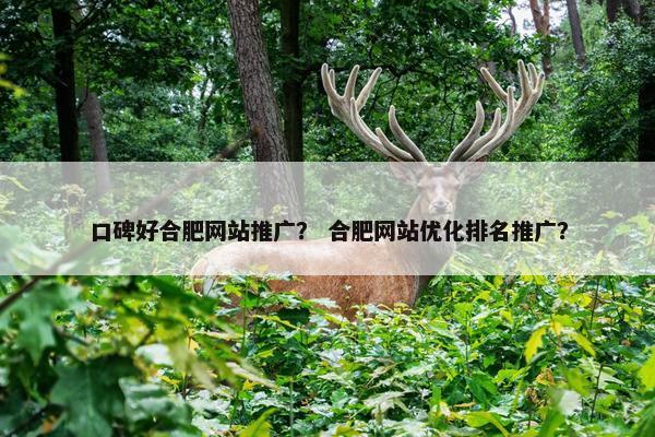 口碑好合肥网站推广？ 合肥网站优化排名推广？