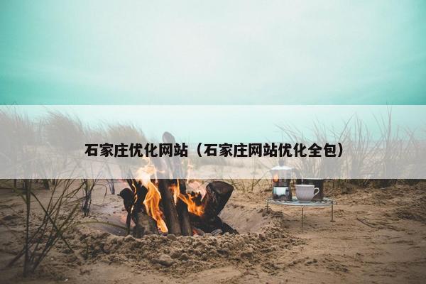 石家庄优化网站（石家庄网站优化全包）