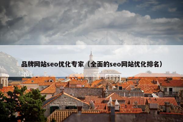 品牌网站seo优化专家（全面的seo网站优化排名）