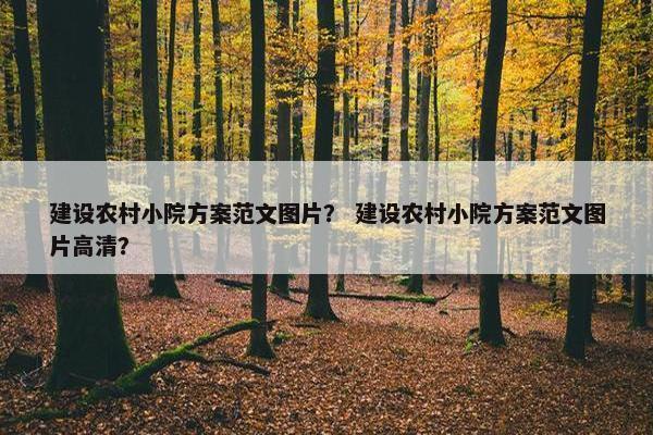 建设农村小院方案范文图片？ 建设农村小院方案范文图片高清？