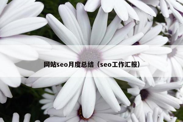 网站seo月度总结（seo工作汇报）