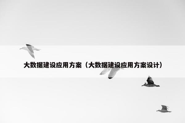 大数据建设应用方案（大数据建设应用方案设计）