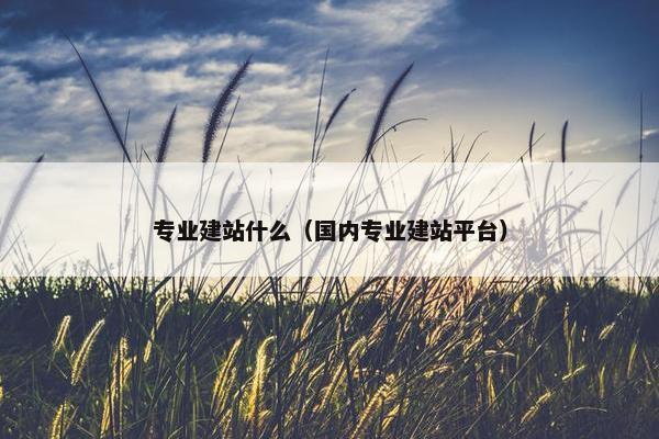 专业建站什么（国内专业建站平台）