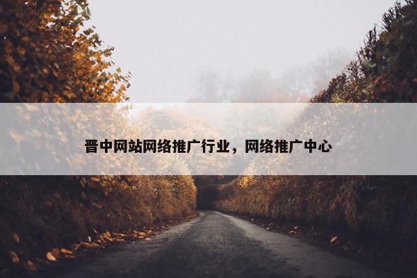 晋中网站网络推广行业，网络推广中心