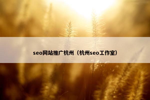 seo网站推广杭州（杭州seo工作室）