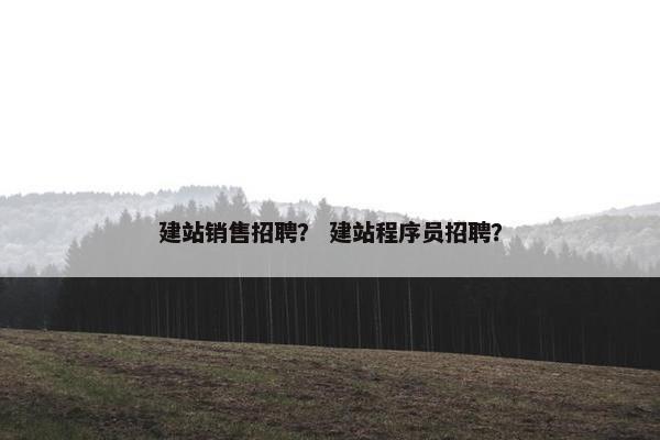 建站销售招聘？ 建站程序员招聘？