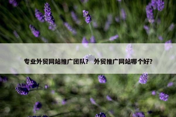 专业外贸网站推广团队？ 外贸推广网站哪个好？