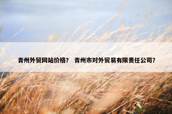 青州外贸网站价格？ 青州市对外贸易有限责任公司？