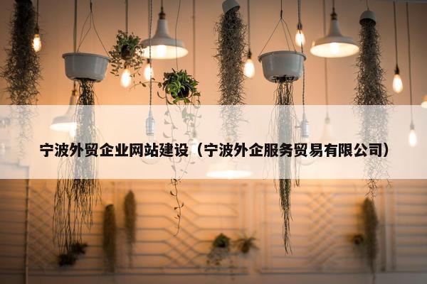 宁波外贸企业网站建设（宁波外企服务贸易有限公司）