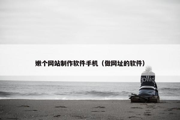 嫩个网站制作软件手机（做网址的软件）