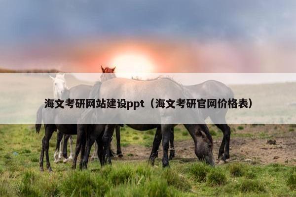 海文考研网站建设ppt（海文考研官网价格表）