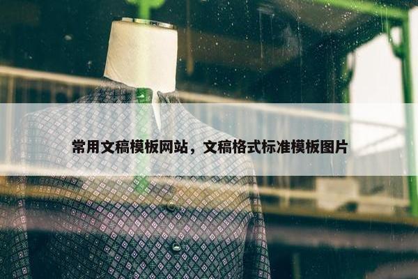常用文稿模板网站，文稿格式标准模板图片