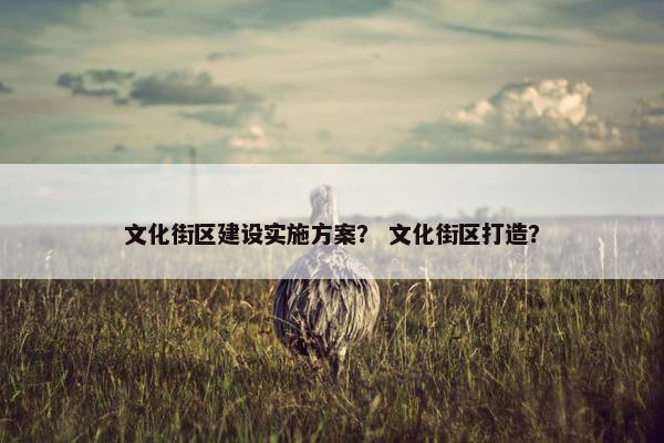 文化街区建设实施方案？ 文化街区打造？
