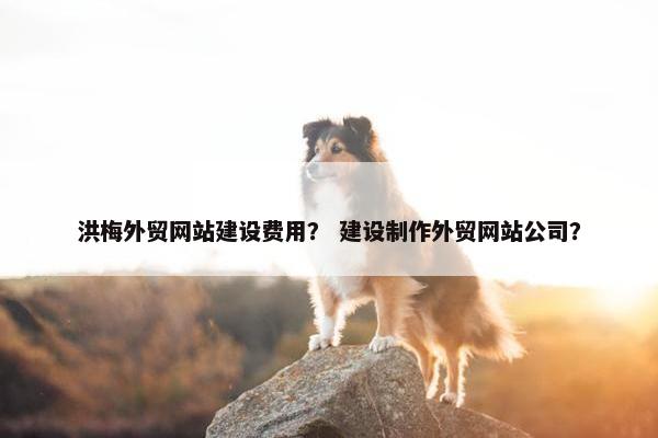 洪梅外贸网站建设费用？ 建设制作外贸网站公司？