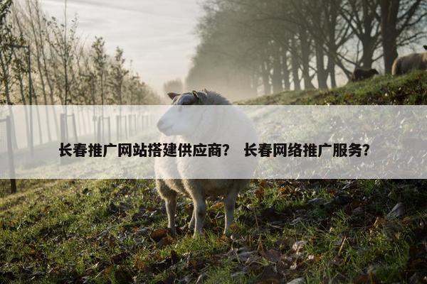 长春推广网站搭建供应商？ 长春网络推广服务？