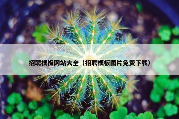 招聘模板网站大全（招聘模板图片免费下载）