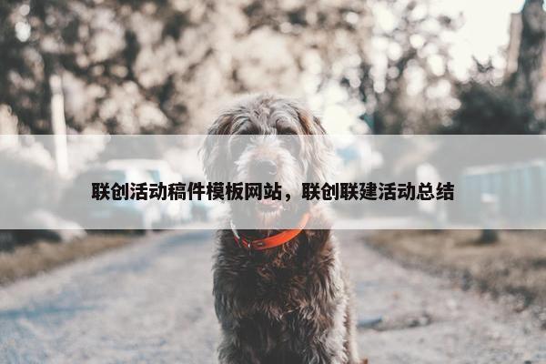 联创活动稿件模板网站，联创联建活动总结