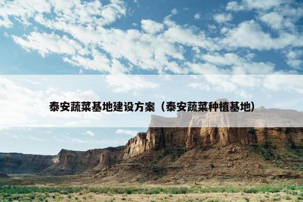 泰安蔬菜基地建设方案（泰安蔬菜种植基地）