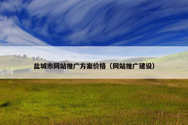盐城市网站推广方案价格（网站推广建设）