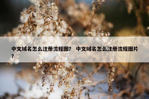 中文域名怎么注册流程图？ 中文域名怎么注册流程图片？