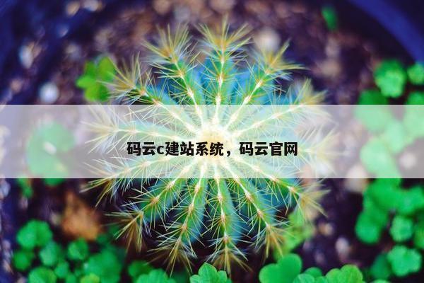 码云c建站系统，码云官网
