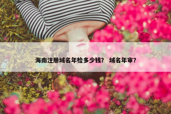 海南注册域名年检多少钱？ 域名年审？