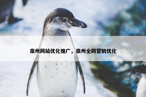 泉州网站优化推广，泉州全网营销优化