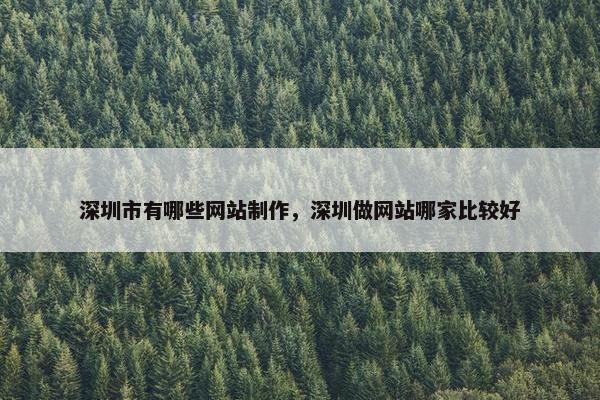 深圳市有哪些网站制作，深圳做网站哪家比较好