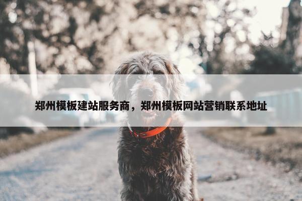 郑州模板建站服务商，郑州模板网站营销联系地址