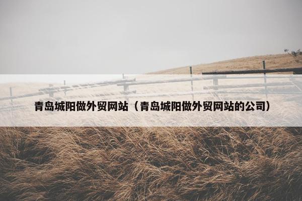 青岛城阳做外贸网站（青岛城阳做外贸网站的公司）