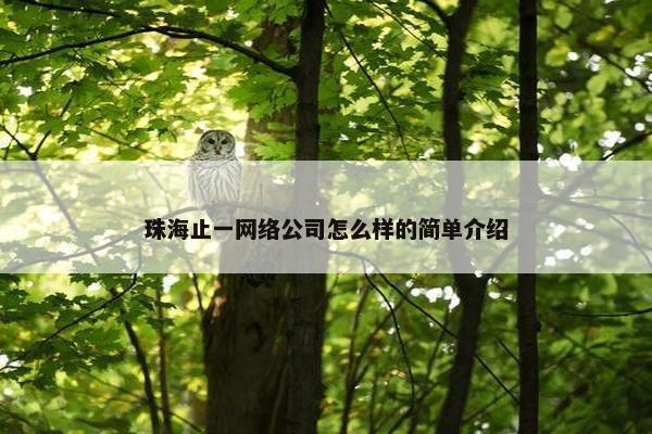 珠海止一网络公司怎么样的简单介绍