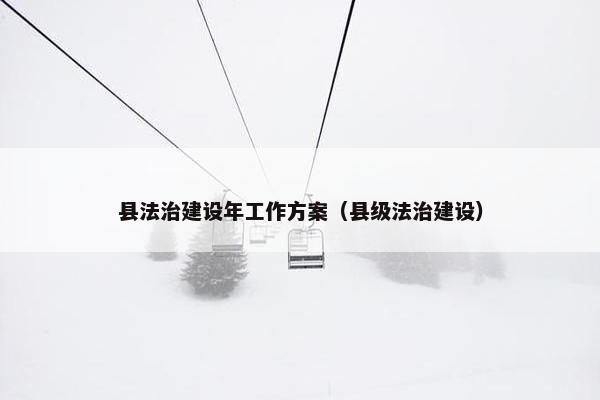 县法治建设年工作方案（县级法治建设）