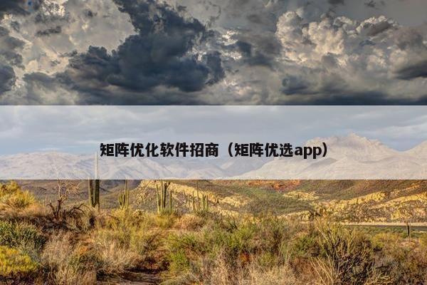 矩阵优化软件招商（矩阵优选app）