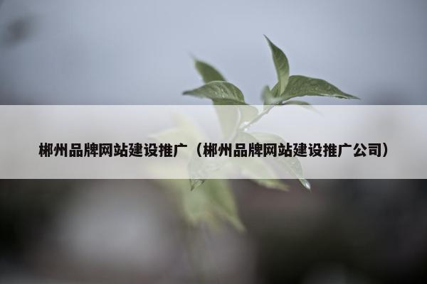 郴州品牌网站建设推广（郴州品牌网站建设推广公司）