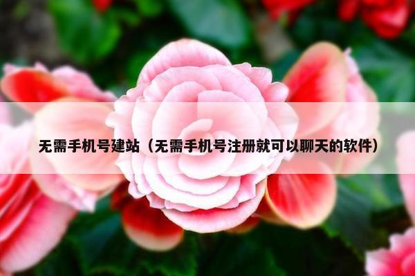 无需手机号建站（无需手机号注册就可以聊天的软件）