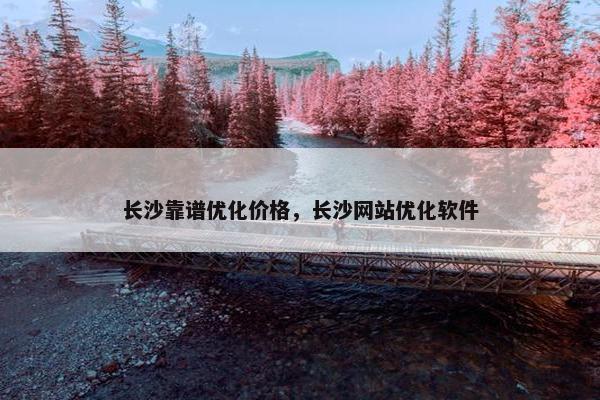 长沙靠谱优化价格，长沙网站优化软件