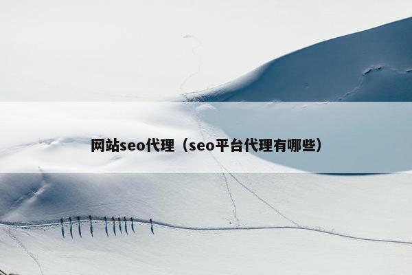 网站seo代理（seo平台代理有哪些）