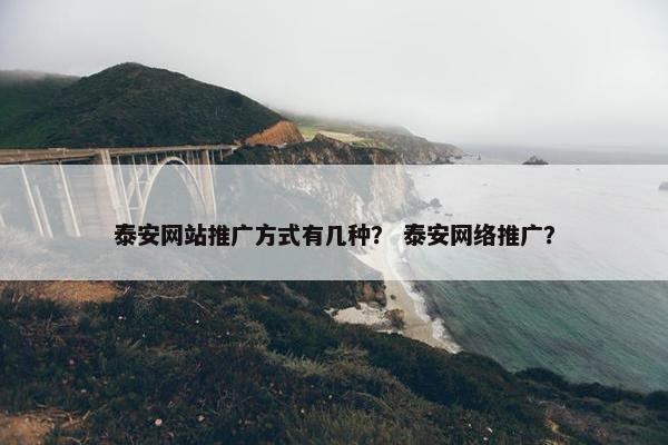 泰安网站推广方式有几种？ 泰安网络推广？