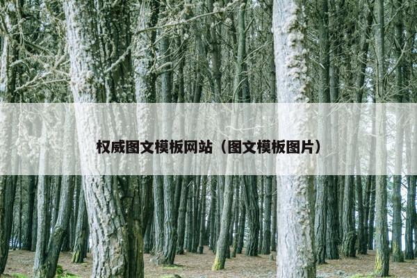 权威图文模板网站（图文模板图片）