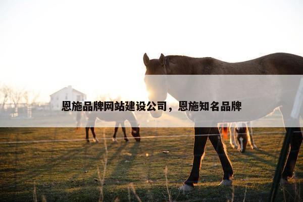 恩施品牌网站建设公司，恩施知名品牌