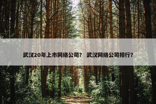 武汉20年上市网络公司？ 武汉网络公司排行？